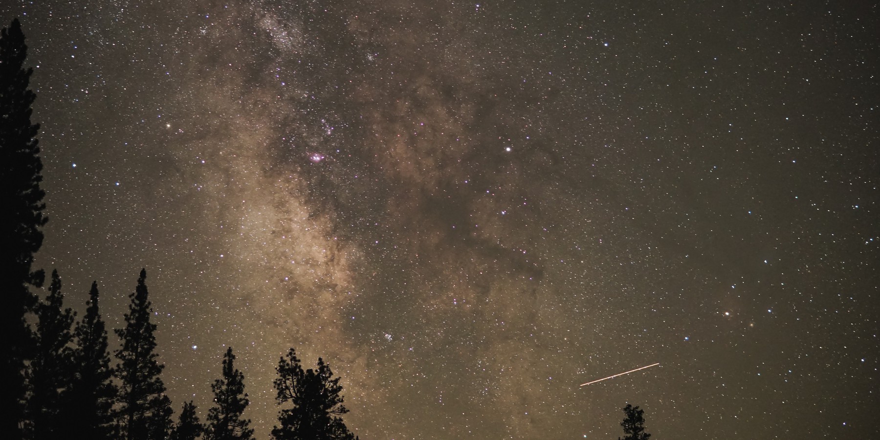 Framework for Minimizing Bias in Data Science