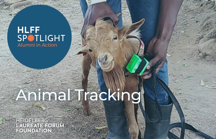Check out the new "HLFF Spotlight: Alumni in Action" Series