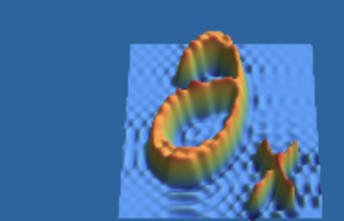 Alumni Project: Workshop "PDEs in Many Body Systems"