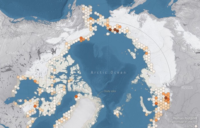 HLF Blog Post on How AI and Satellites are Working Together to Detail Permafrost Thaw