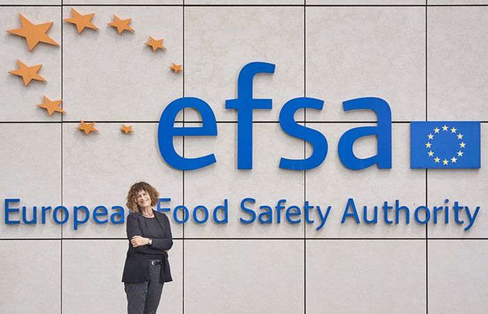 Why a European agency post can be an excellent destination for researchers