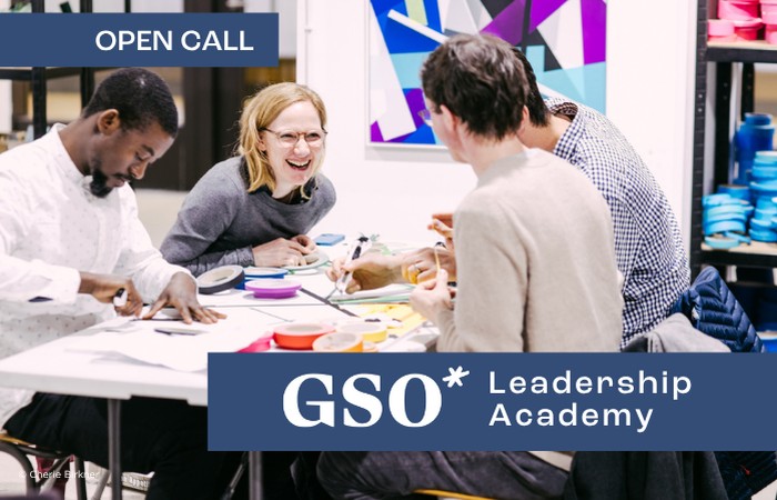 Call for Applications: GSO Leadership Academy 10